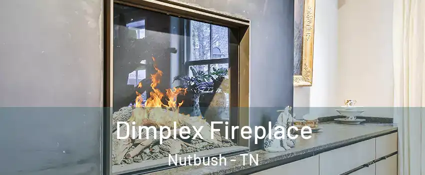 Dimplex Fireplace Nutbush - TN