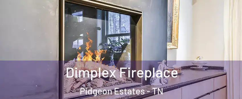 Dimplex Fireplace Pidgeon Estates - TN