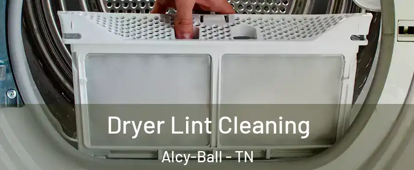 Dryer Lint Cleaning Alcy-Ball - TN