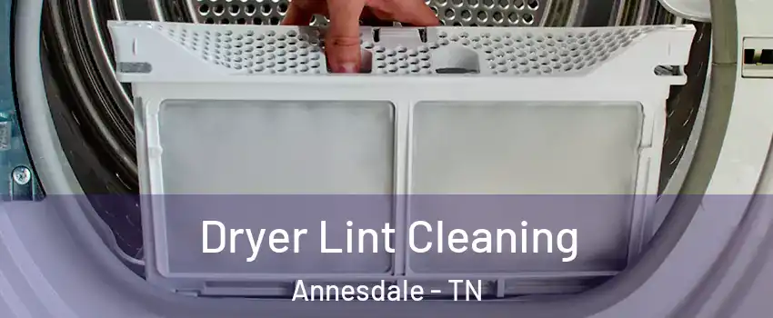 Dryer Lint Cleaning Annesdale - TN