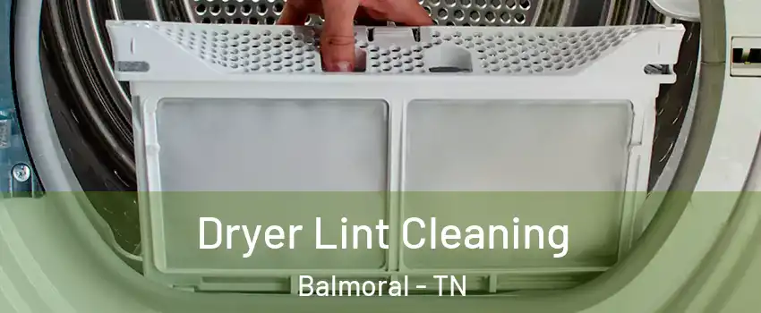 Dryer Lint Cleaning Balmoral - TN