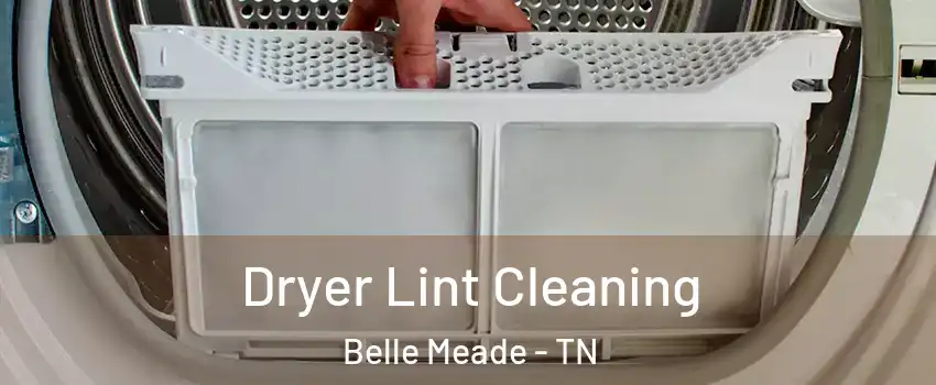 Dryer Lint Cleaning Belle Meade - TN