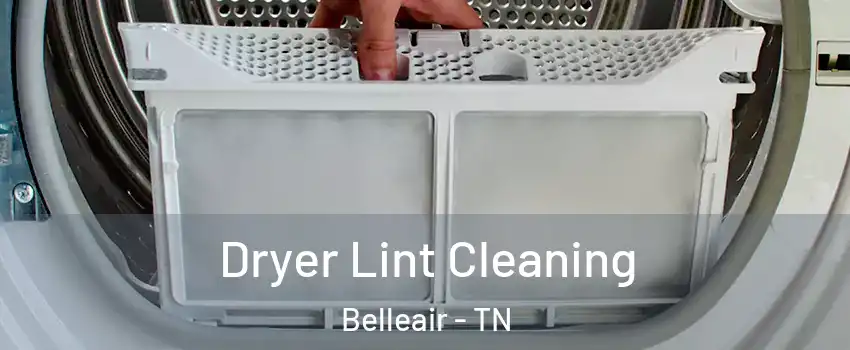 Dryer Lint Cleaning Belleair - TN