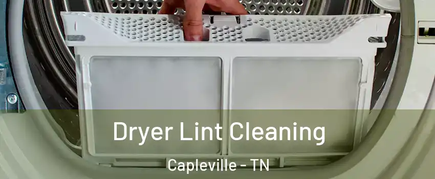 Dryer Lint Cleaning Capleville - TN