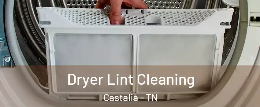 Dryer Lint Cleaning Castalia - TN