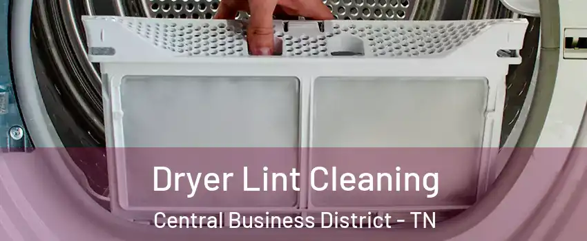 Dryer Lint Cleaning Central Business District - TN