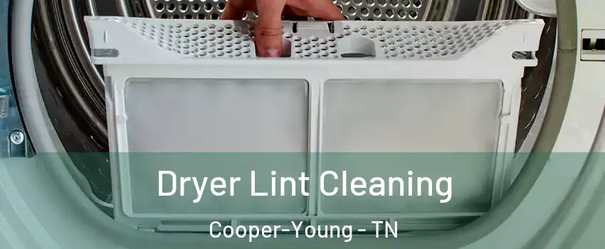 Dryer Lint Cleaning Cooper-Young - TN