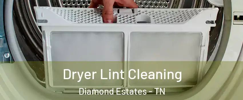 Dryer Lint Cleaning Diamond Estates - TN