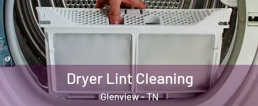 Dryer Lint Cleaning Glenview - TN