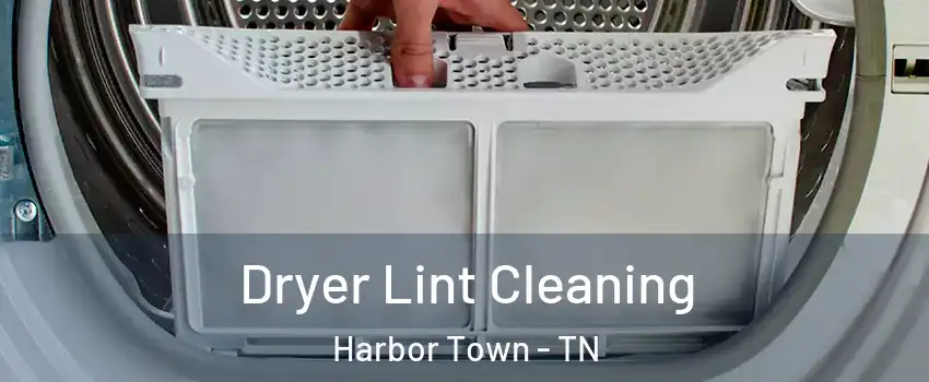 Dryer Lint Cleaning Harbor Town - TN