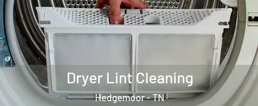 Dryer Lint Cleaning Hedgemoor - TN