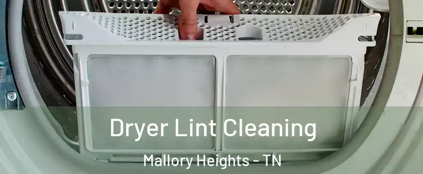 Dryer Lint Cleaning Mallory Heights - TN