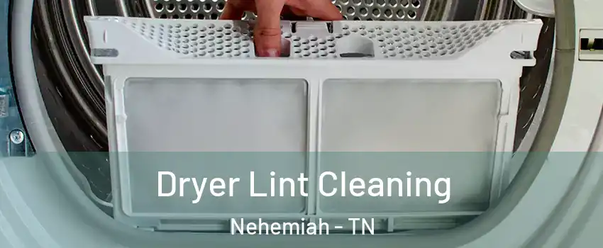 Dryer Lint Cleaning Nehemiah - TN