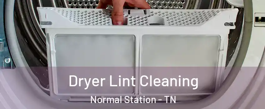 Dryer Lint Cleaning Normal Station - TN