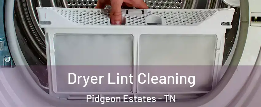 Dryer Lint Cleaning Pidgeon Estates - TN