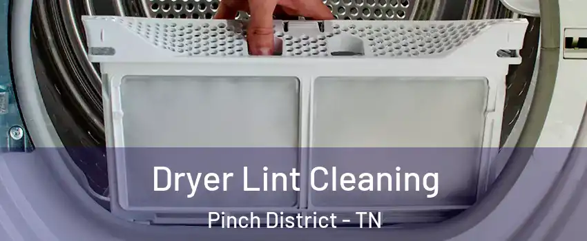 Dryer Lint Cleaning Pinch District - TN