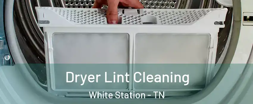 Dryer Lint Cleaning White Station - TN