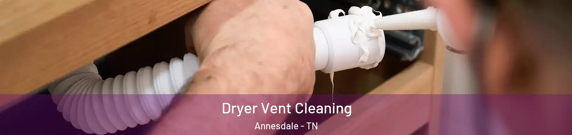 Dryer Vent Cleaning Annesdale - TN