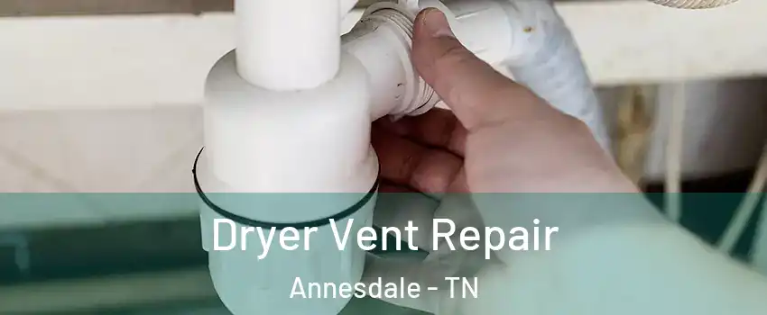 Dryer Vent Repair Annesdale - TN