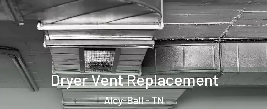 Dryer Vent Replacement Alcy-Ball - TN