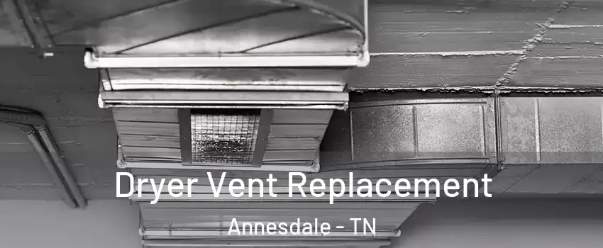 Dryer Vent Replacement Annesdale - TN