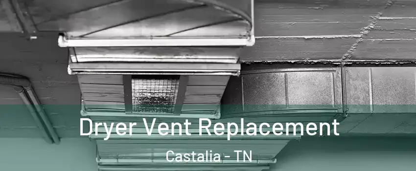 Dryer Vent Replacement Castalia - TN