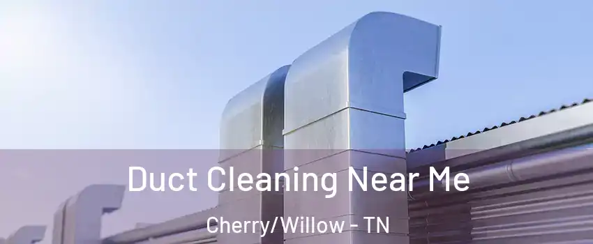 Duct Cleaning Near Me Cherry/Willow - TN