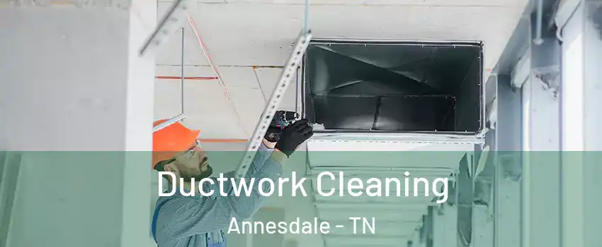 Ductwork Cleaning Annesdale - TN