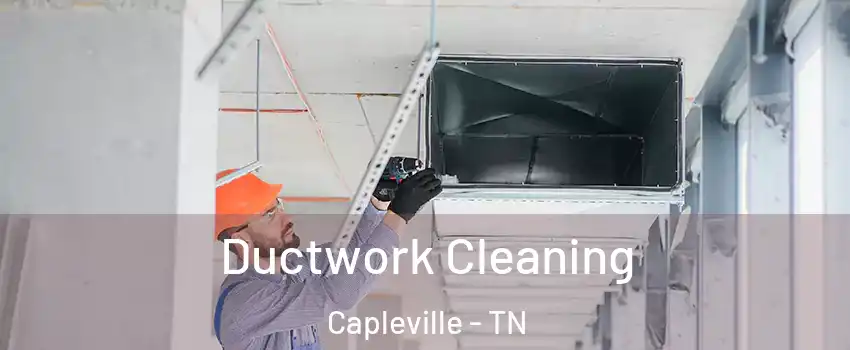 Ductwork Cleaning Capleville - TN