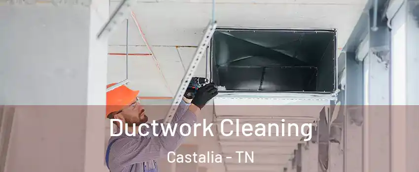 Ductwork Cleaning Castalia - TN