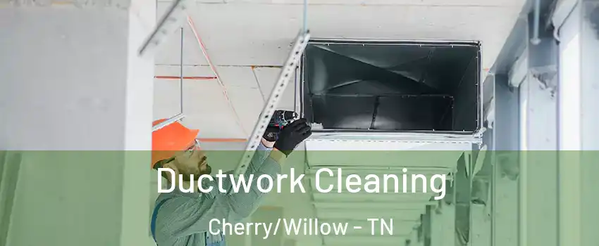 Ductwork Cleaning Cherry/Willow - TN