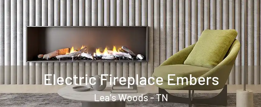 Electric Fireplace Embers Lea's Woods - TN