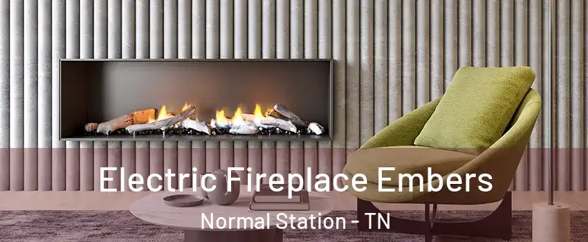 Electric Fireplace Embers Normal Station - TN