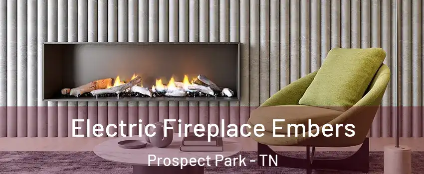 Electric Fireplace Embers Prospect Park - TN