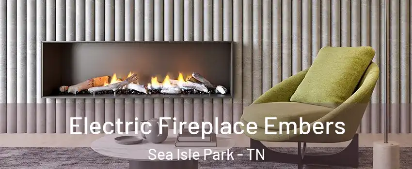 Electric Fireplace Embers Sea Isle Park - TN