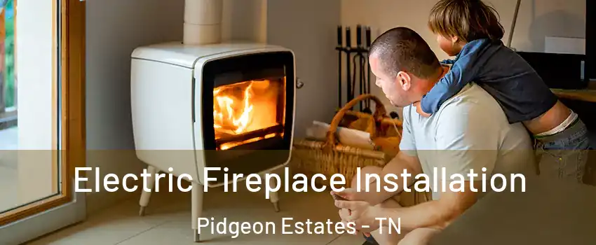 Electric Fireplace Installation Pidgeon Estates - TN