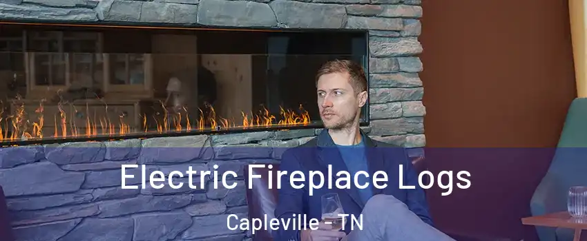 Electric Fireplace Logs Capleville - TN