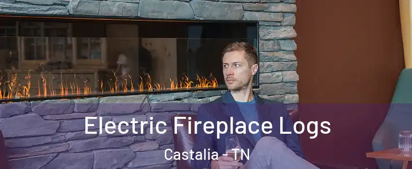 Electric Fireplace Logs Castalia - TN