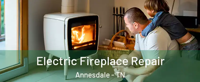 Electric Fireplace Repair Annesdale - TN