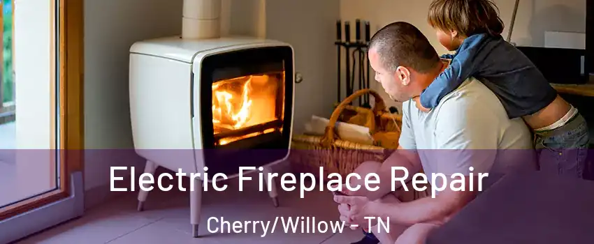 Electric Fireplace Repair Cherry/Willow - TN