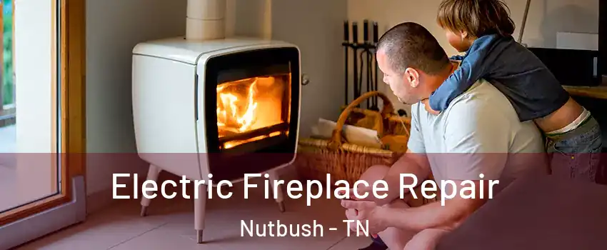 Electric Fireplace Repair Nutbush - TN