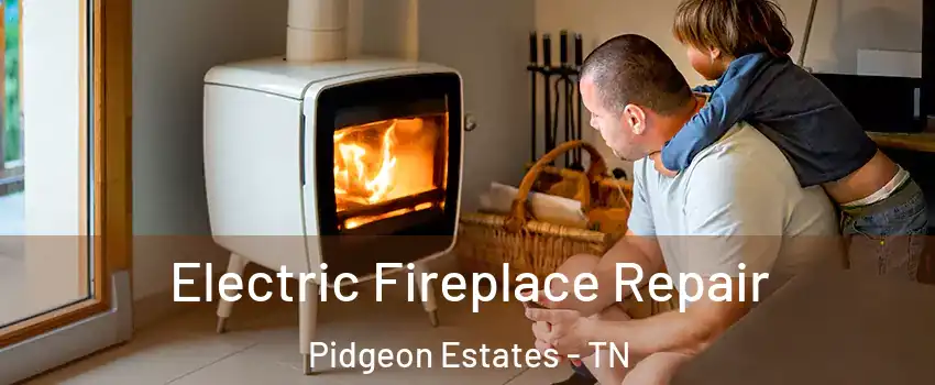 Electric Fireplace Repair Pidgeon Estates - TN