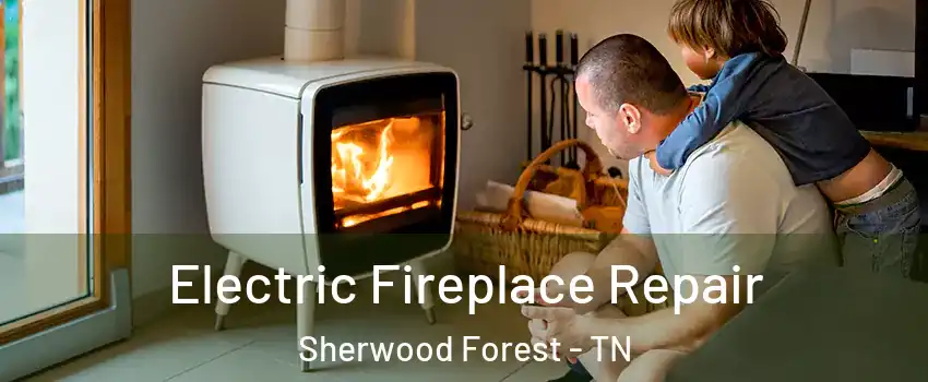 Electric Fireplace Repair Sherwood Forest - TN