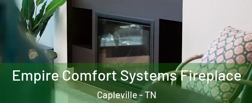 Empire Comfort Systems Fireplace Capleville - TN