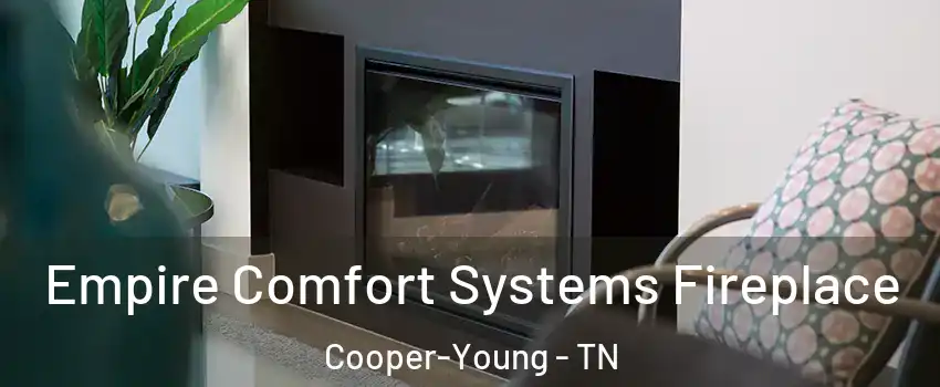 Empire Comfort Systems Fireplace Cooper-Young - TN