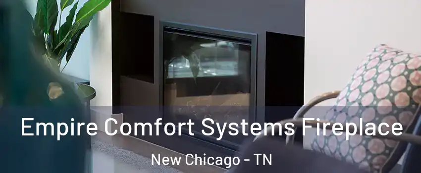 Empire Comfort Systems Fireplace New Chicago - TN