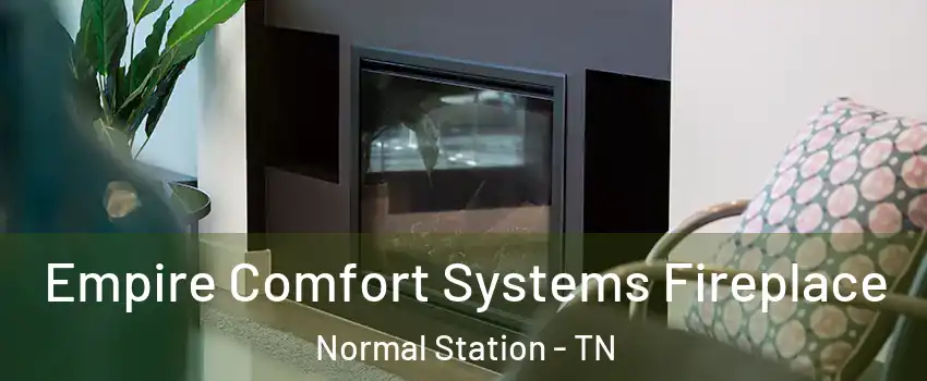 Empire Comfort Systems Fireplace Normal Station - TN