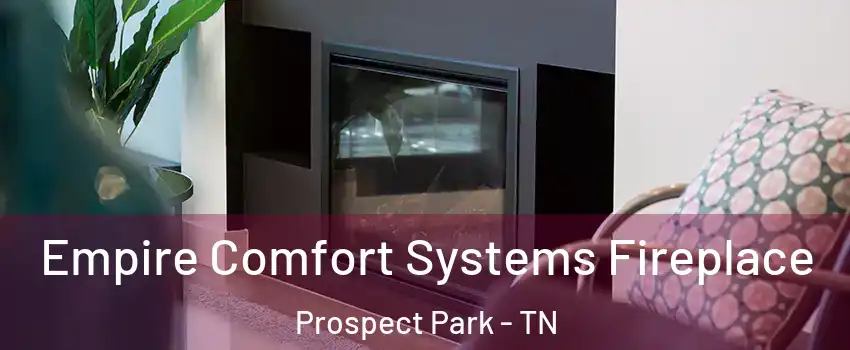 Empire Comfort Systems Fireplace Prospect Park - TN