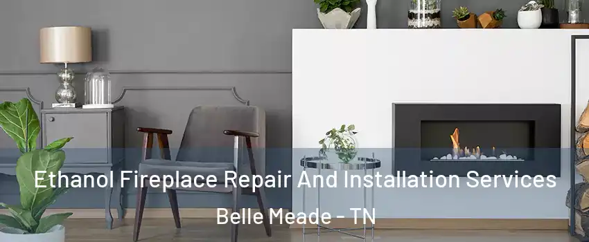 Ethanol Fireplace Repair And Installation Services Belle Meade - TN