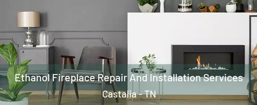 Ethanol Fireplace Repair And Installation Services Castalia - TN